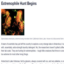 Extremophile Hunt Begins